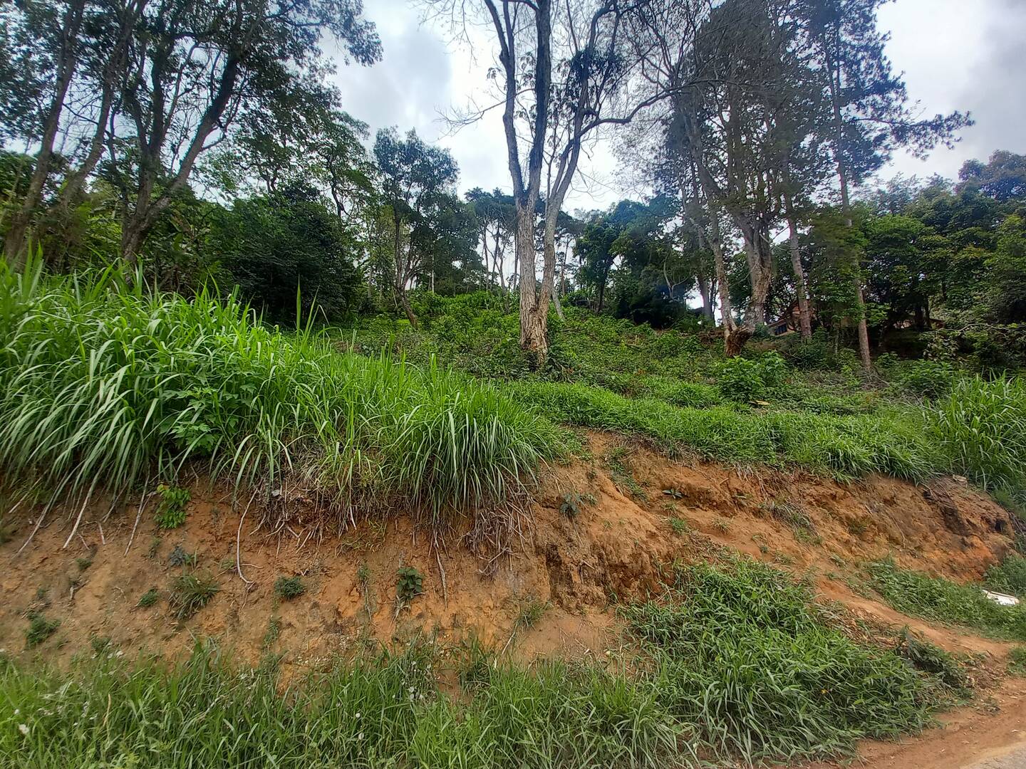 Terreno à venda, 1400m² - Foto 1