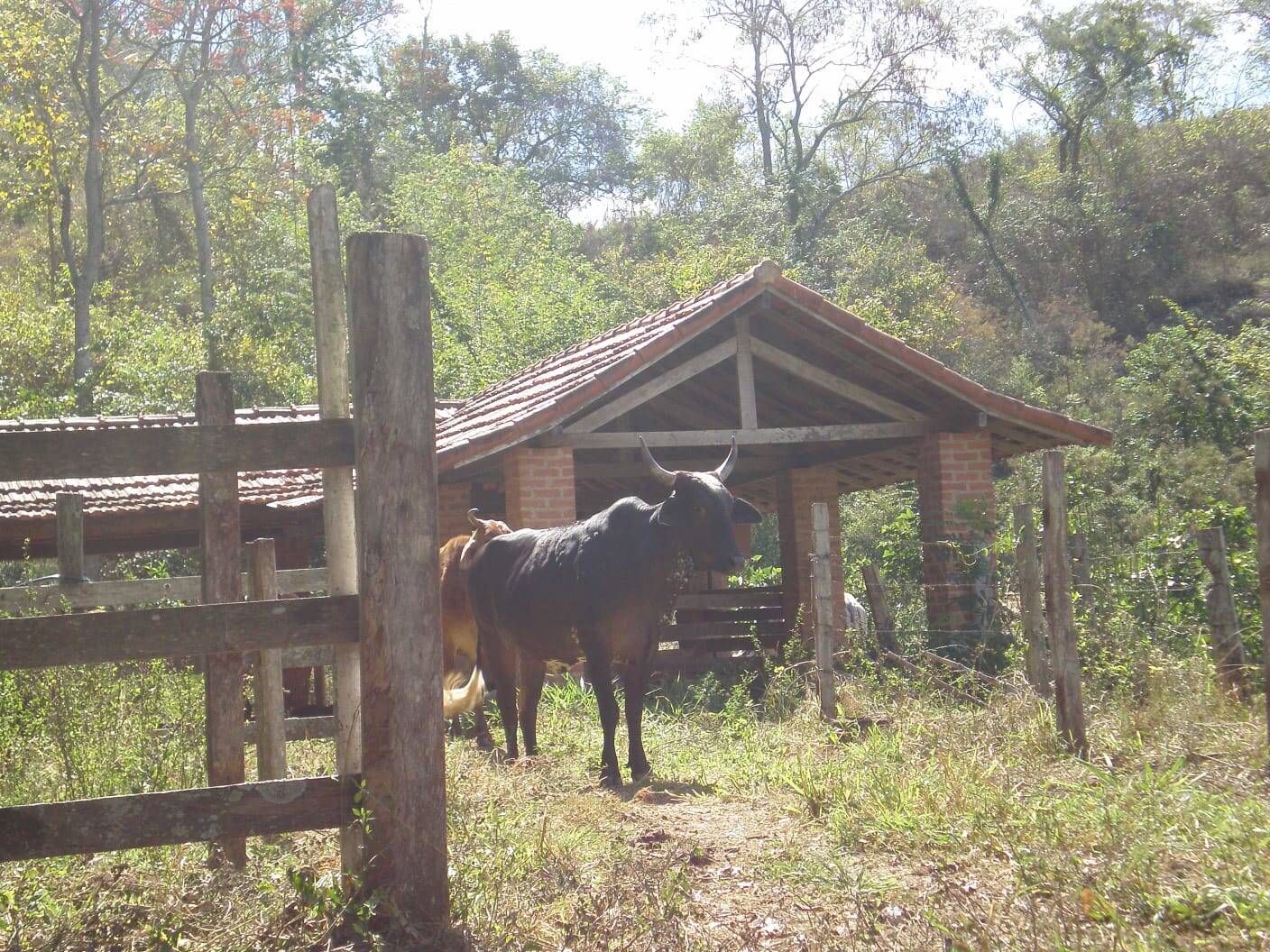 Fazenda à venda com 3 quartos - Foto 9