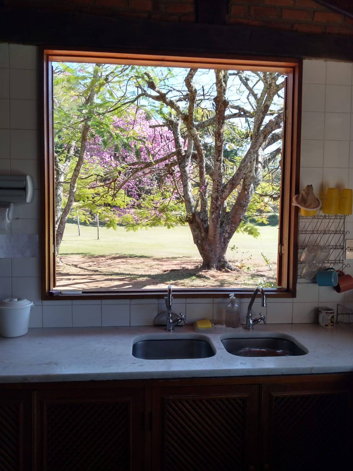 Fazenda à venda com 3 quartos - Foto 8