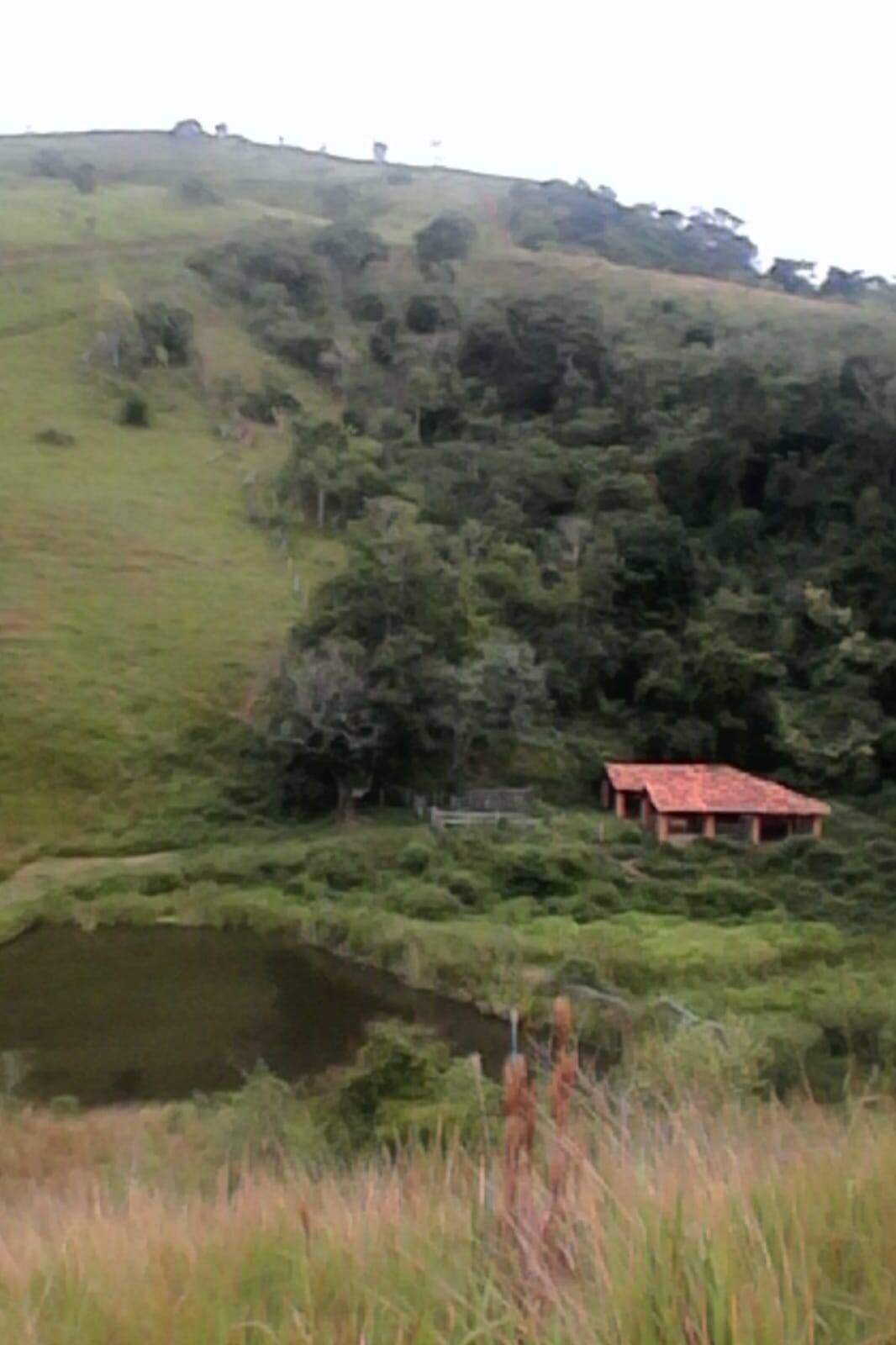 Fazenda à venda com 3 quartos - Foto 16