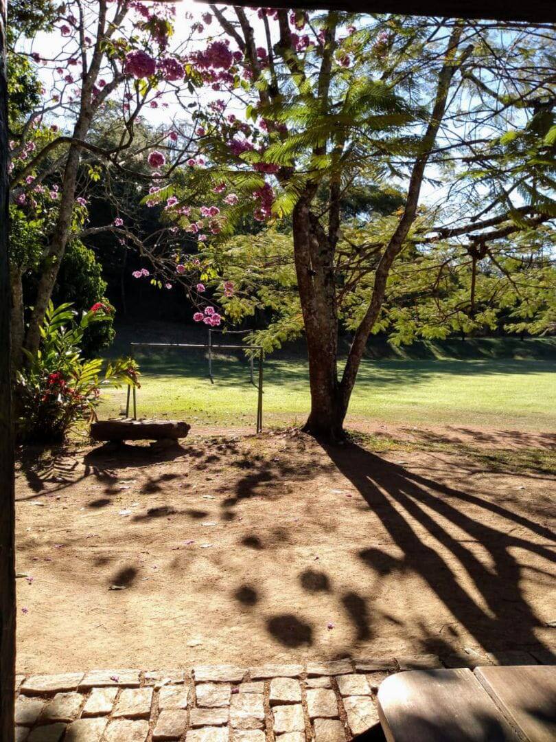 Fazenda à venda com 3 quartos - Foto 31