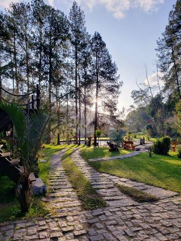 Fazenda à venda com 5 quartos, 20000m² - Foto 17