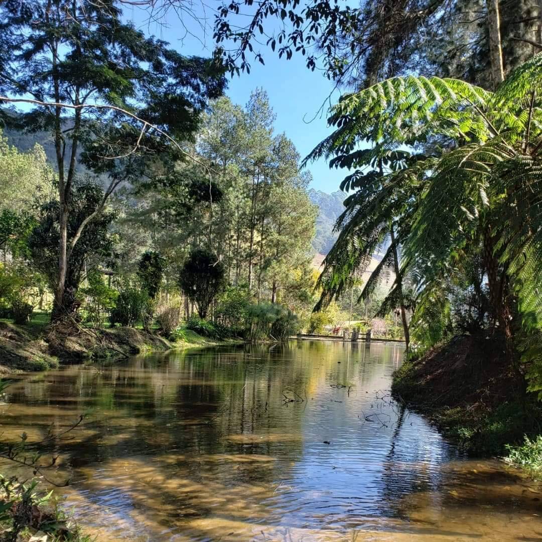 Fazenda à venda com 5 quartos, 20000m² - Foto 1