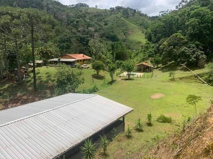 Fazenda à venda com 3 quartos, 81000m² - Foto 11