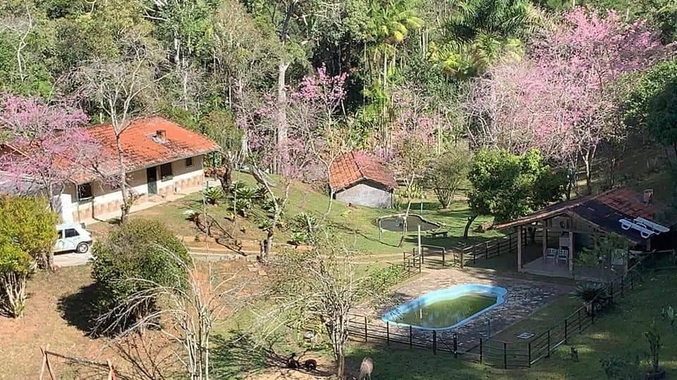 Fazenda à venda com 3 quartos, 81000m² - Foto 13