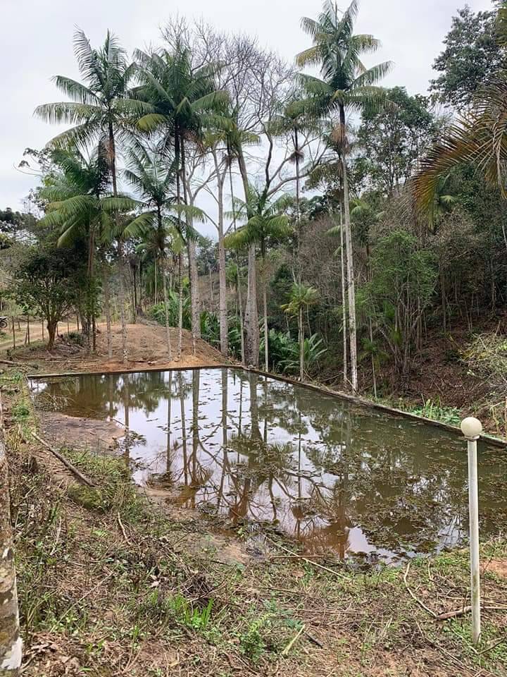 Fazenda à venda com 3 quartos, 81000m² - Foto 12