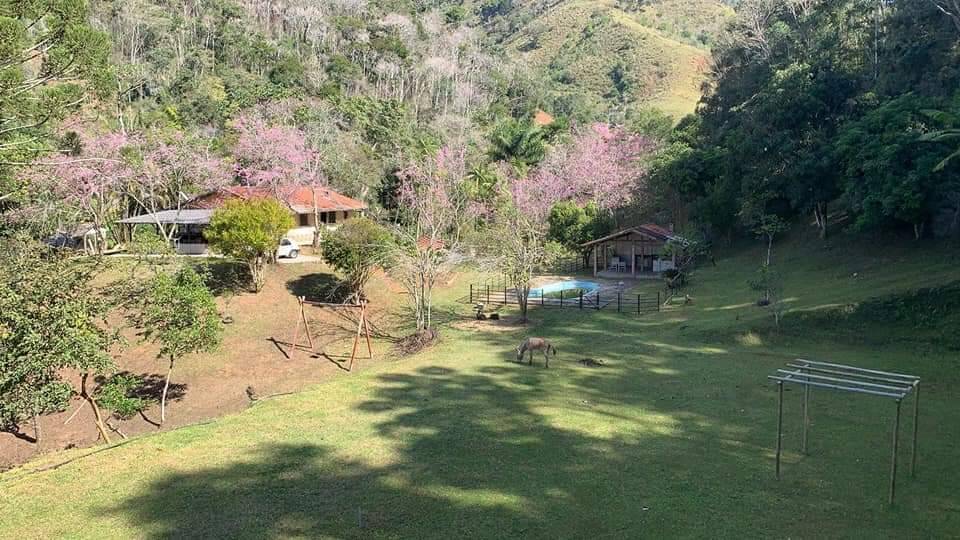 Fazenda à venda com 3 quartos, 81000m² - Foto 15