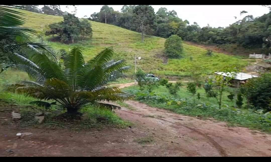 Fazenda à venda com 2 quartos, 116000m² - Foto 2