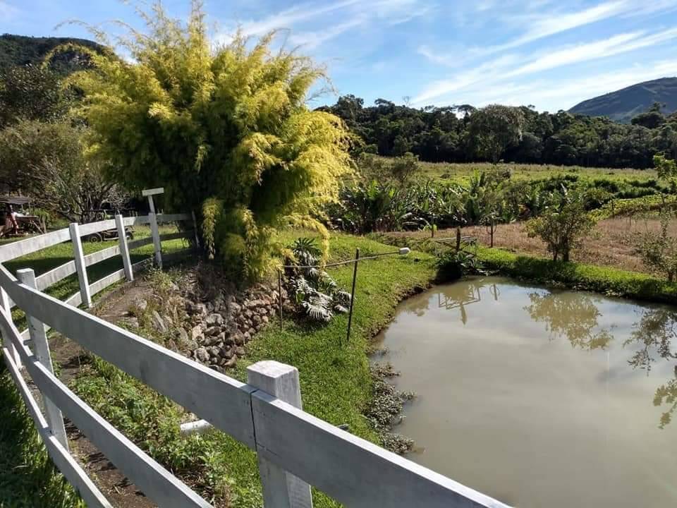 Fazenda à venda com 3 quartos, 40000m² - Foto 2