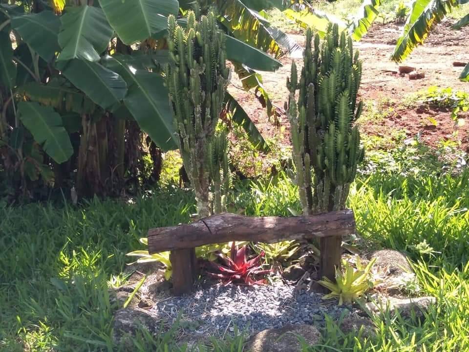 Fazenda à venda com 3 quartos, 40000m² - Foto 8