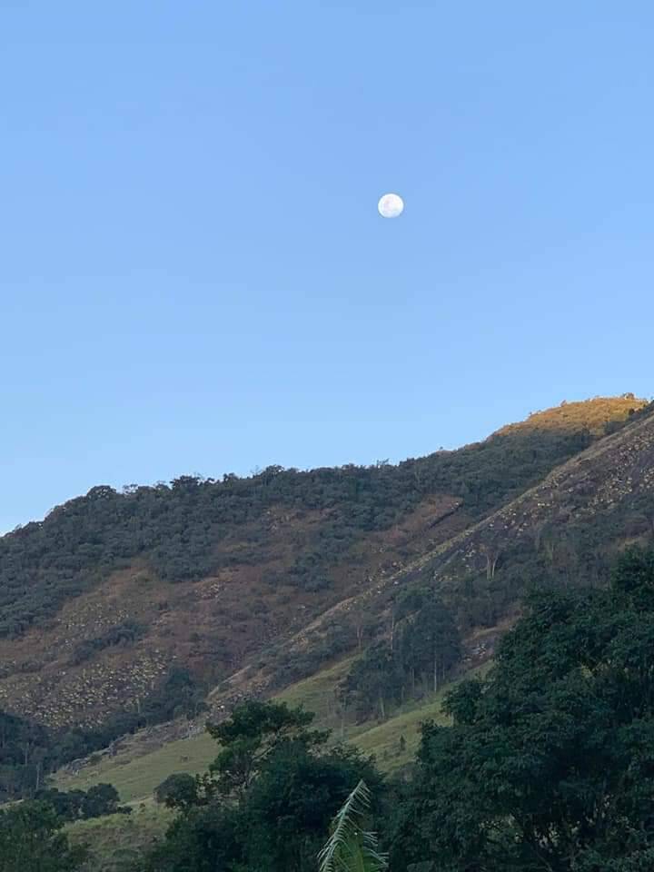 Fazenda à venda com 3 quartos, 40000m² - Foto 18