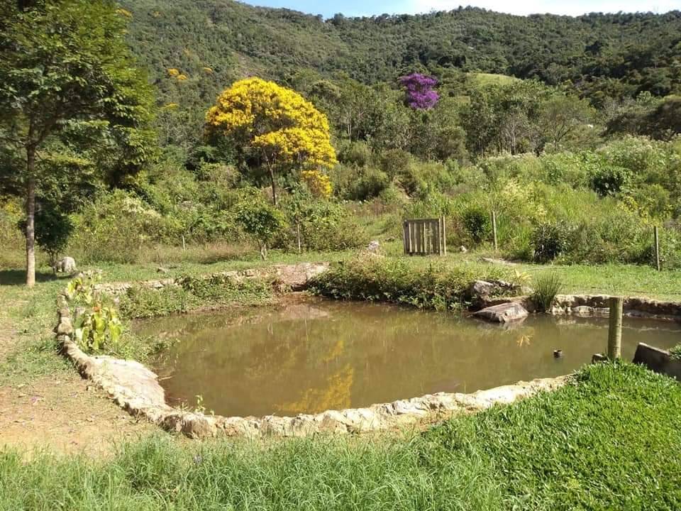 Fazenda à venda com 3 quartos, 40000m² - Foto 24