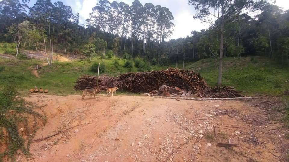 Terreno à venda, 15000m² - Foto 1