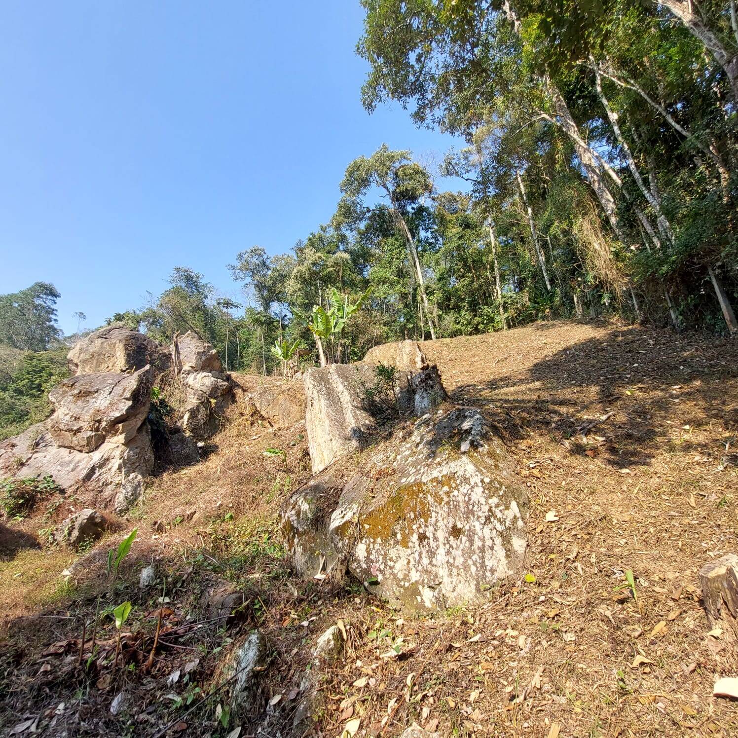 Terreno à venda, 2230m² - Foto 14