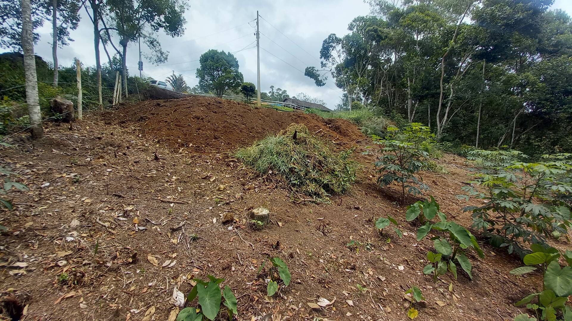 Terreno à venda, 900m² - Foto 6