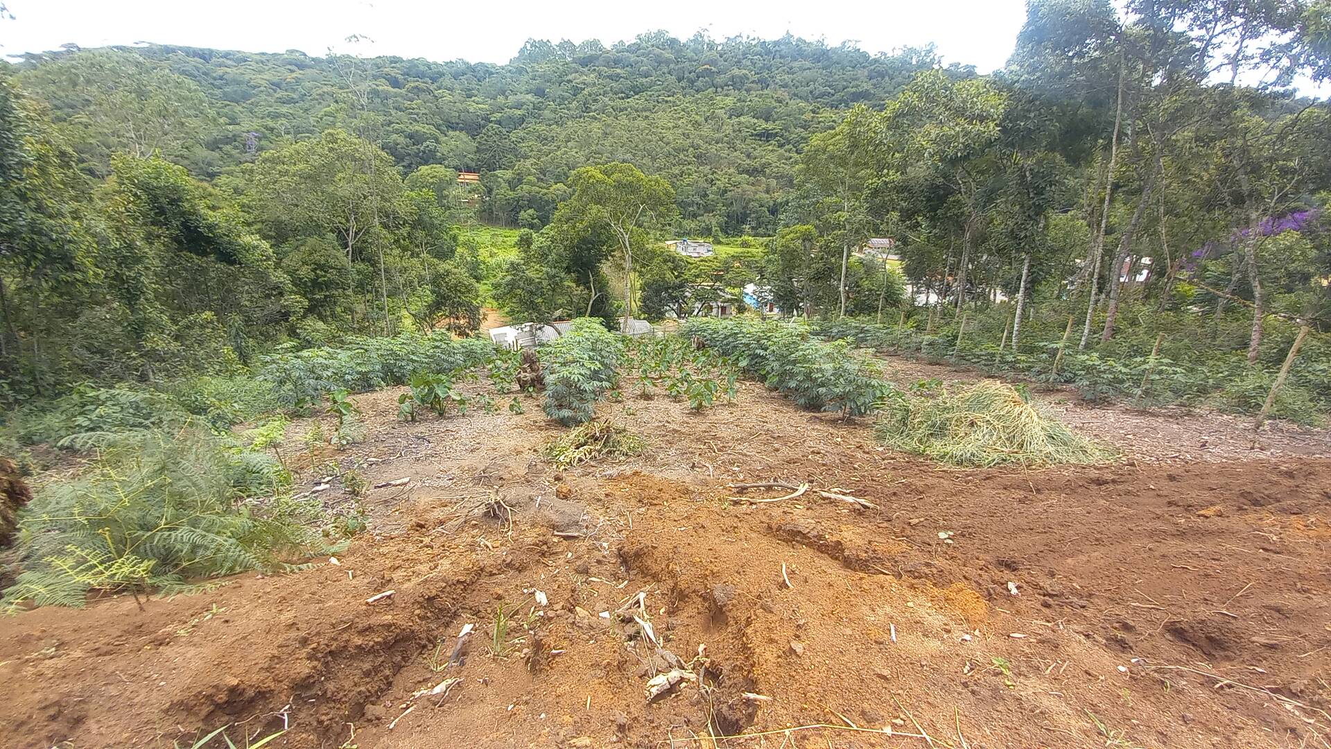 Terreno à venda, 900m² - Foto 7