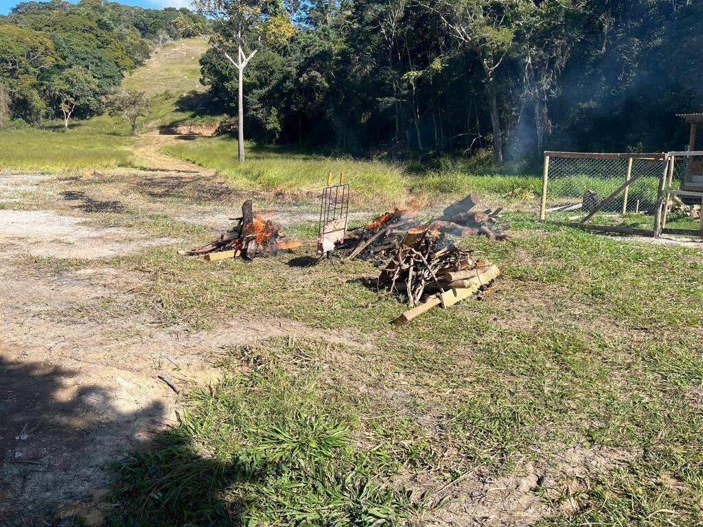 Fazenda à venda com 3 quartos, 81000m² - Foto 6