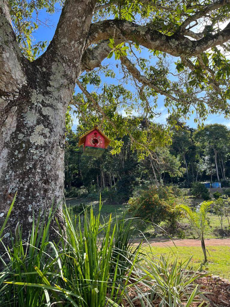 Fazenda à venda com 3 quartos, 81000m² - Foto 8