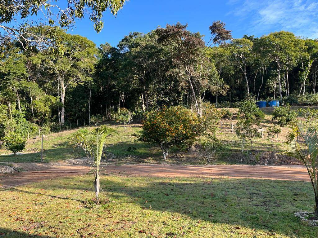 Fazenda à venda com 3 quartos, 81000m² - Foto 13