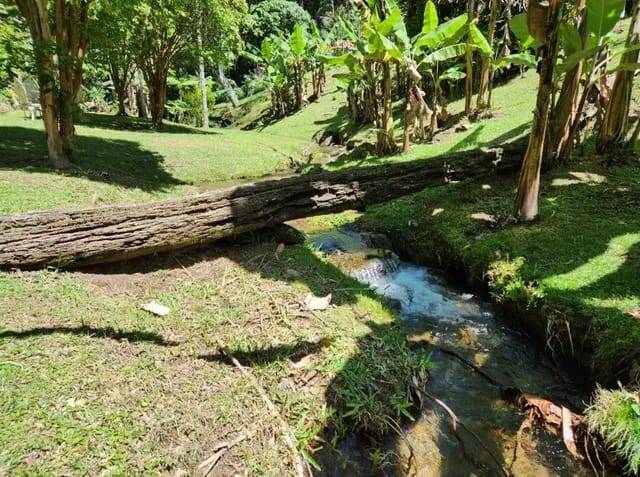 Terreno à venda, 50000m² - Foto 2