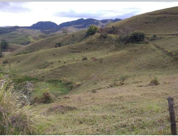 Fazenda à venda - Foto 5