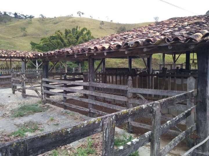 Fazenda à venda - Foto 6