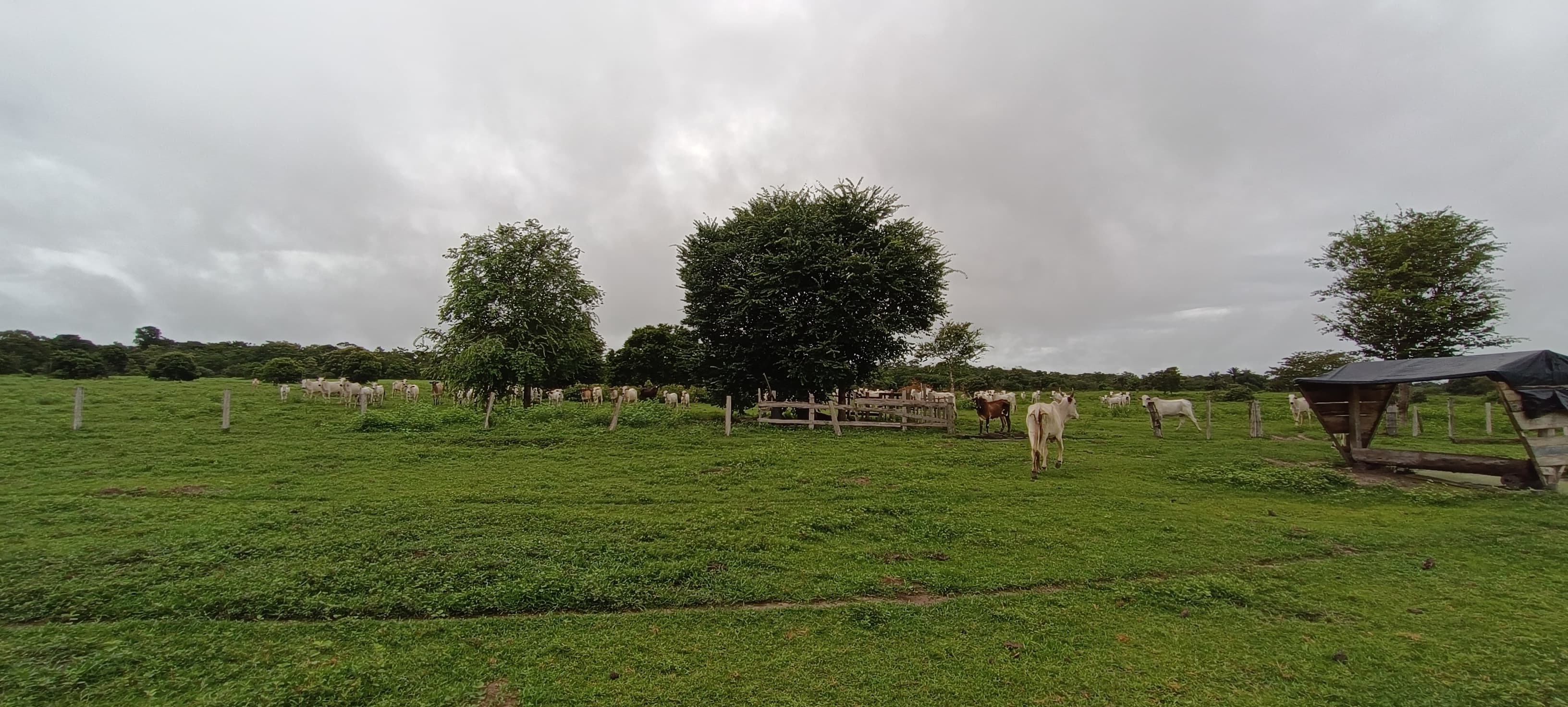 Terreno à venda, 884m² - Foto 1