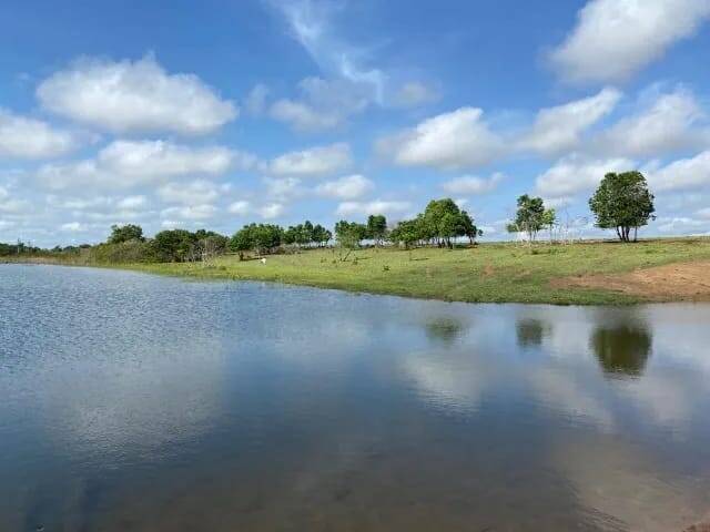 Terreno à venda, 1500m² - Foto 4