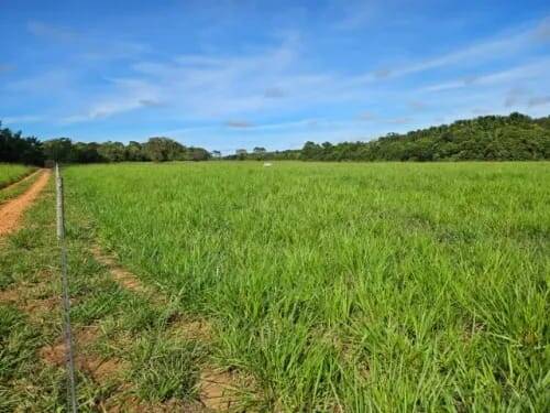 Fazenda à venda, 760m² - Foto 3