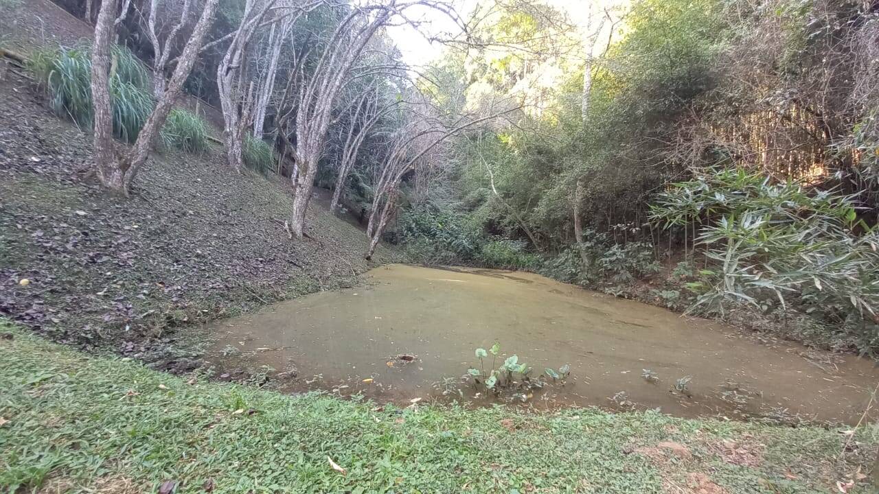 Fazenda à venda com 4 quartos, 23000m² - Foto 5