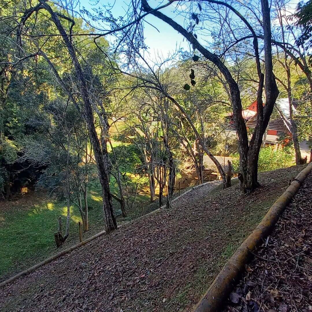 Fazenda à venda com 4 quartos, 23000m² - Foto 8