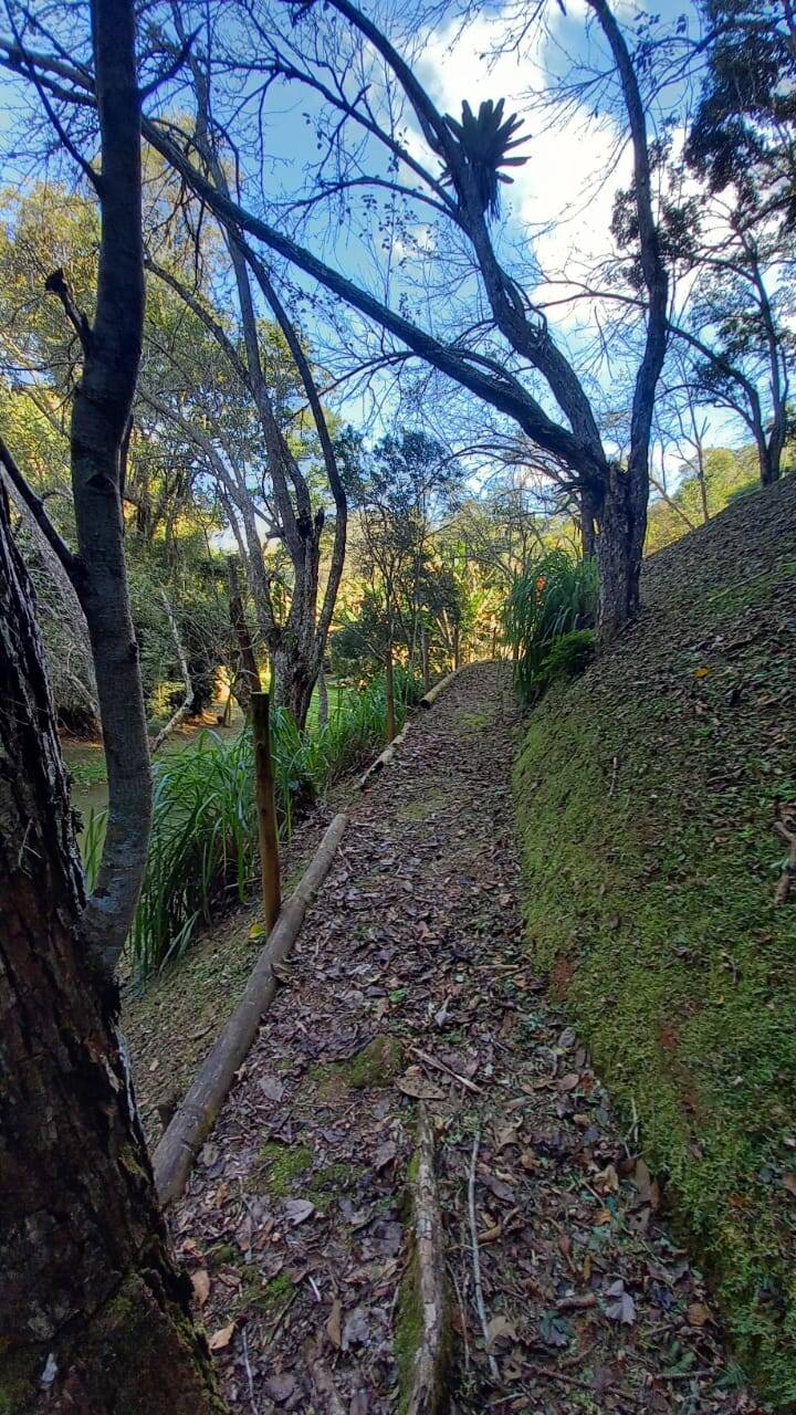 Fazenda à venda com 4 quartos, 23000m² - Foto 15