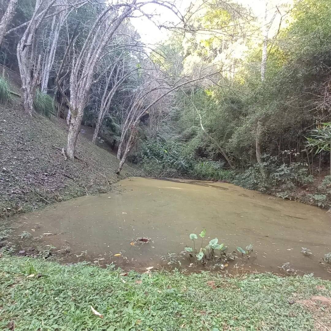 Fazenda à venda com 4 quartos, 23000m² - Foto 16