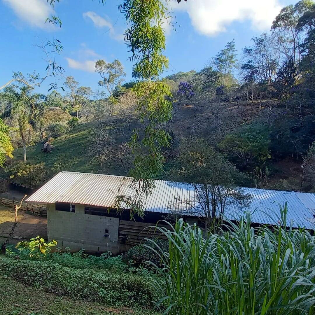 Fazenda à venda com 4 quartos, 23000m² - Foto 28