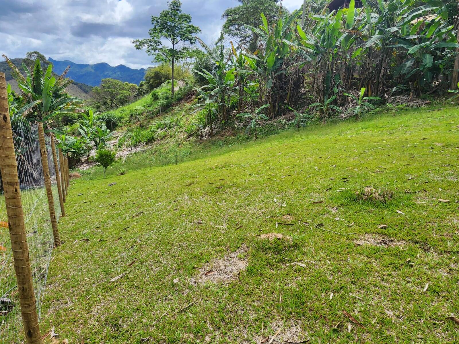 Terreno à venda, 500002m² - Foto 3