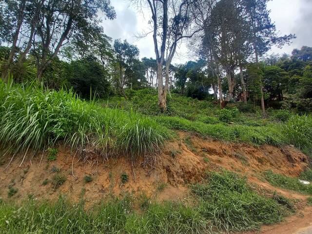 #16 - Área para Venda em Nova Friburgo - RJ