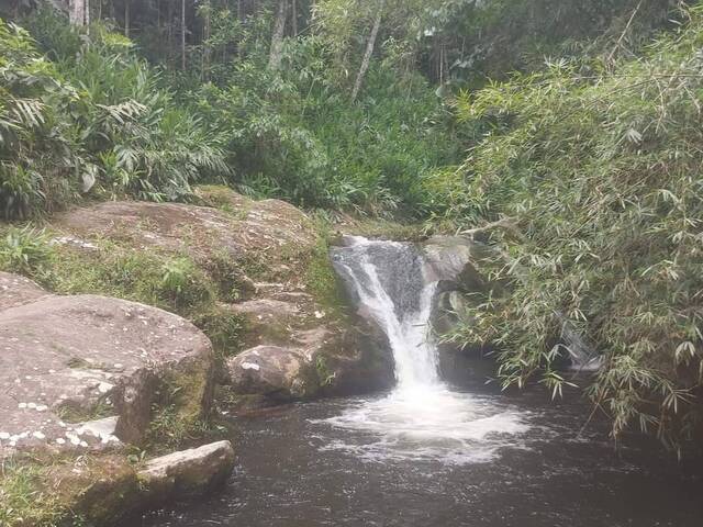 #29 - Área para Venda em Nova Friburgo - RJ