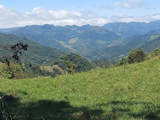 #29 - Área para Venda em Nova Friburgo - RJ