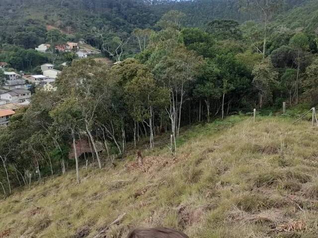 #52 - Área para Venda em Nova Friburgo - RJ