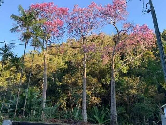 #65 - Chácara para Venda em Nova Friburgo - RJ