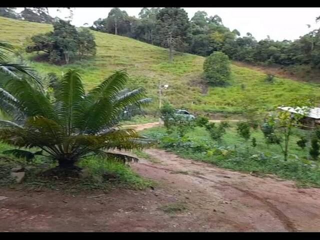 #69 - Chácara para Venda em Nova Friburgo - RJ