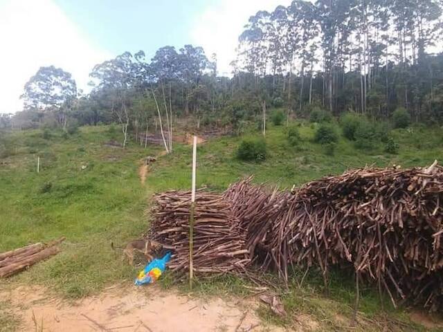 #86 - Área para Venda em Nova Friburgo - RJ