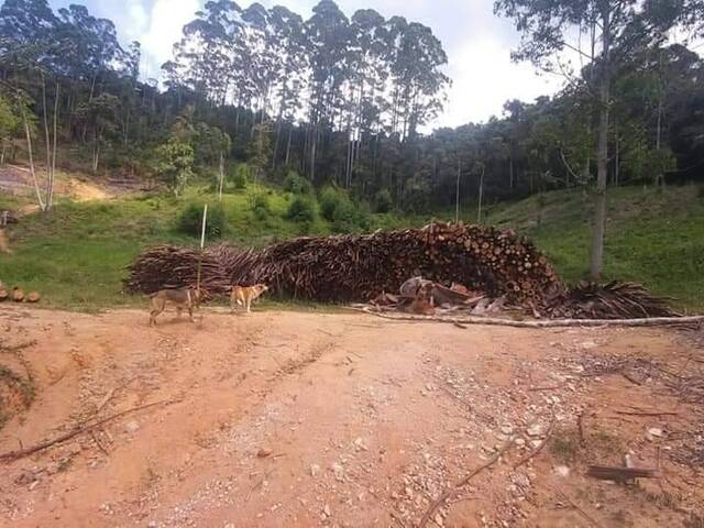 #86 - Área para Venda em Nova Friburgo - RJ