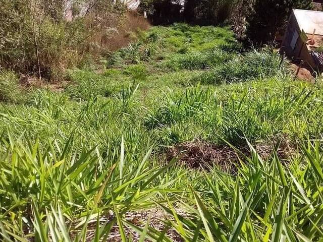 Venda em Chácara Paraíso - Nova Friburgo