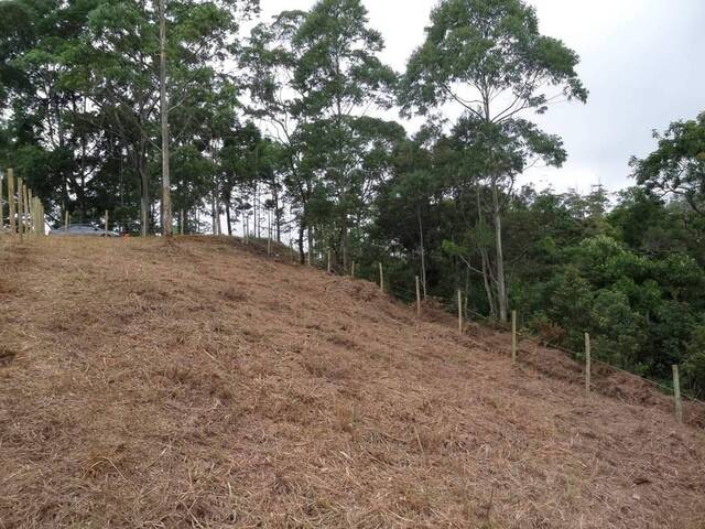 #113 - Área para Venda em Nova Friburgo - RJ