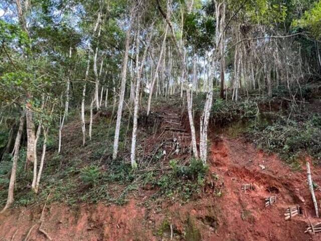 Venda em PERISSE - Nova Friburgo