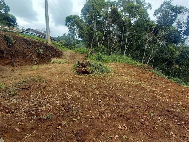 #189 - Área para Venda em Nova Friburgo - RJ