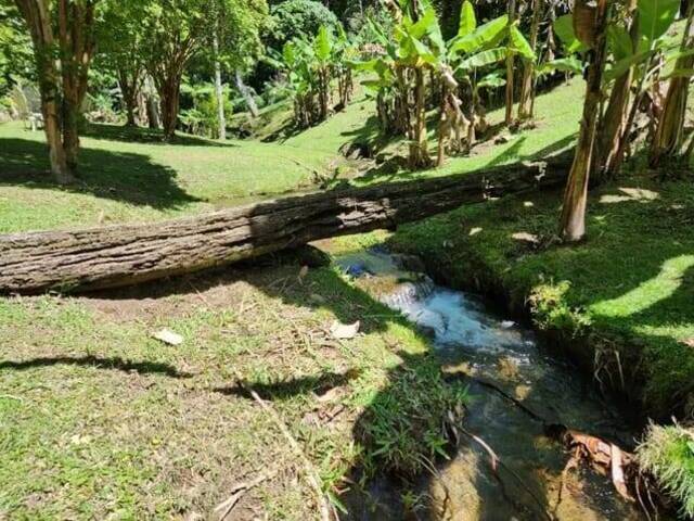 #229 - Chácara para Venda em Nova Friburgo - RJ