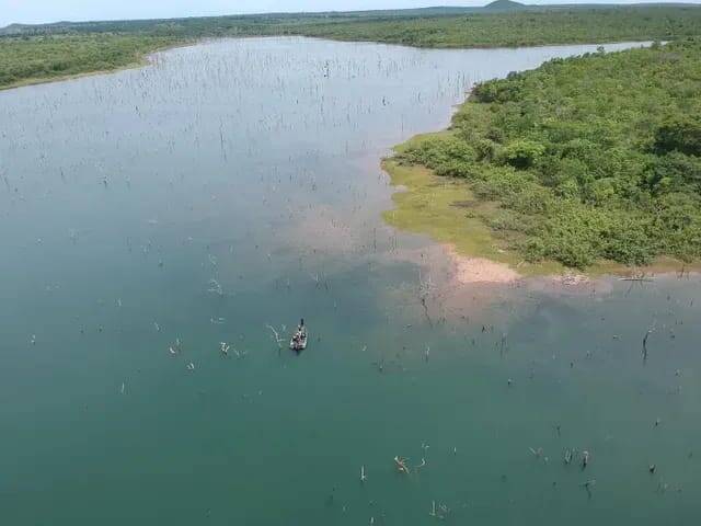 #236 - Chácara para Venda em Peixe - TO