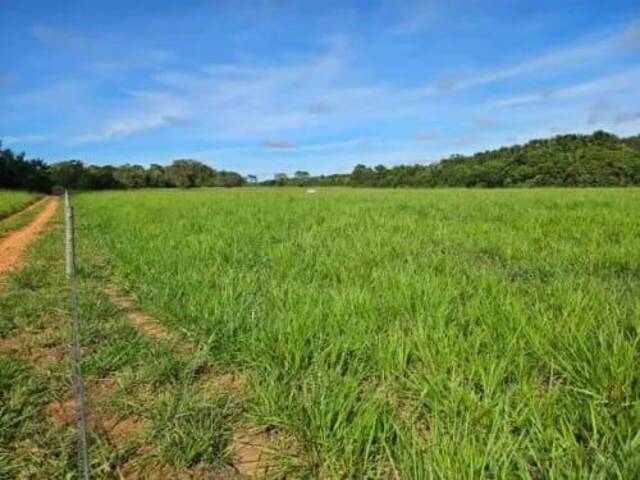 #238 - Chácara para Venda em Rio dos Bois - TO